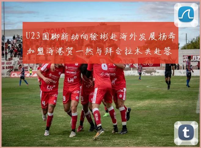 U23国脚新动向徐彬赴海外发展杨希加盟海港贺一然与拜合拉木共赴蓉城